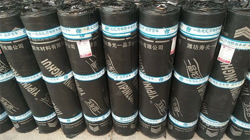 贛榆防水卷材廠家直銷——貴弘建材專業(yè)供應高品質(zhì)防水材料